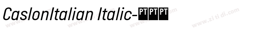 CaslonItalian Italic字体转换